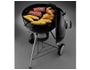 Barbecue charbon WEBER ONE TOUCH PREMIUM + 7451 + 1013