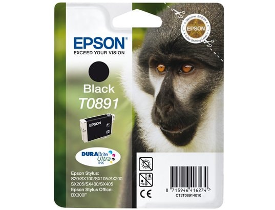 Cartouche d'encre EPSON T0891 noir
