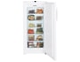 Cong�lateur armoire LIEBHERR GN3113