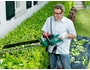 Taille haie filaire BOSCH AHS6000 PRO T + coupe bordure