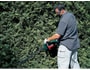 Taille haie filaire BOSCH AHS 480-24T + gants