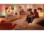 T�l�viseur LED 107 cm Full HD 3D  PHILIPS 42PFL7606H/12