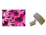 Ecran de projection ORAY Square 225 x 300 + telecommande