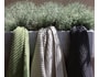 Ensemble linge de bain  GREENCONSCIENCE LUXE LOFT ANTRACITE