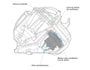Aspirateur tra�neau DYSON DC29DBANIMALPRO