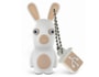 Cl� USB INTEGRAL Cle USB 4 Go The Lapins Cretins