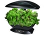 Aerogarden SIMEO AG01 NOIR