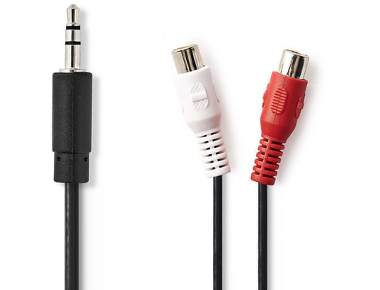 CAGP22250BK02 - 3,5 mm Mâle - 2xRCA Femelles 0,2 m