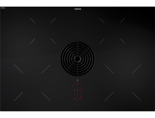 Plaque aspirante S pur, Puru